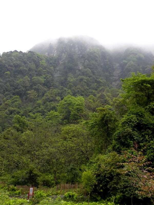 DSCN2313.jpg