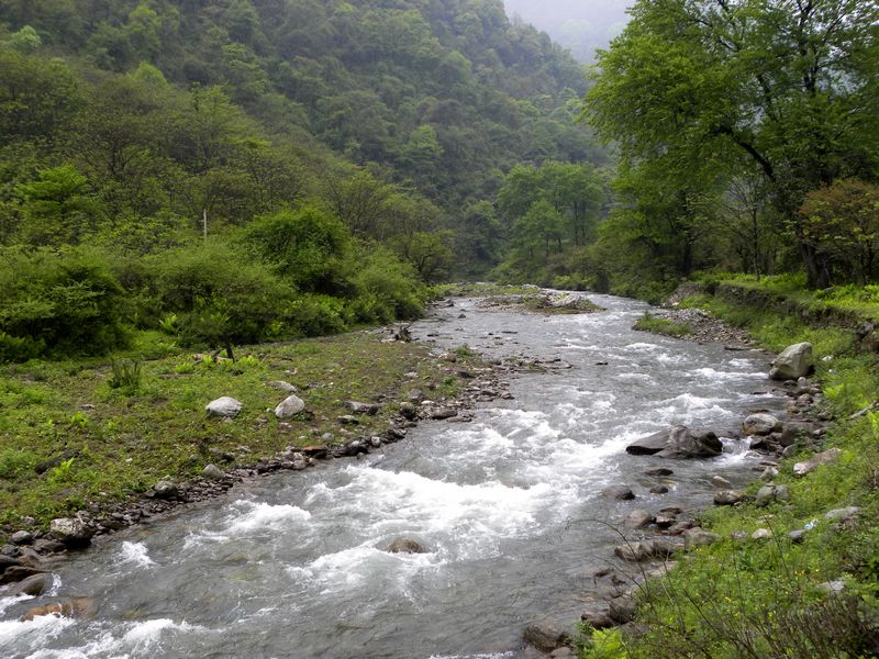 DSCN2312.jpg