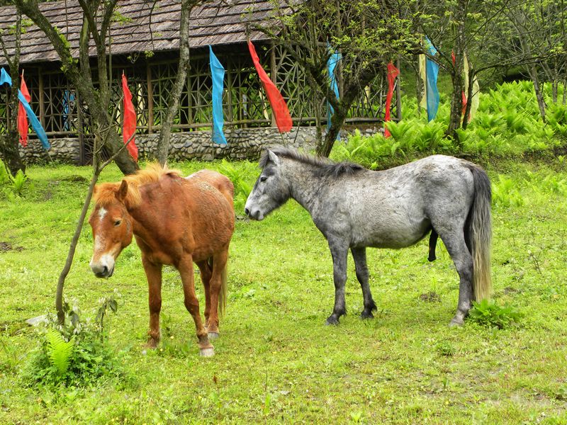 DSCN2309.jpg