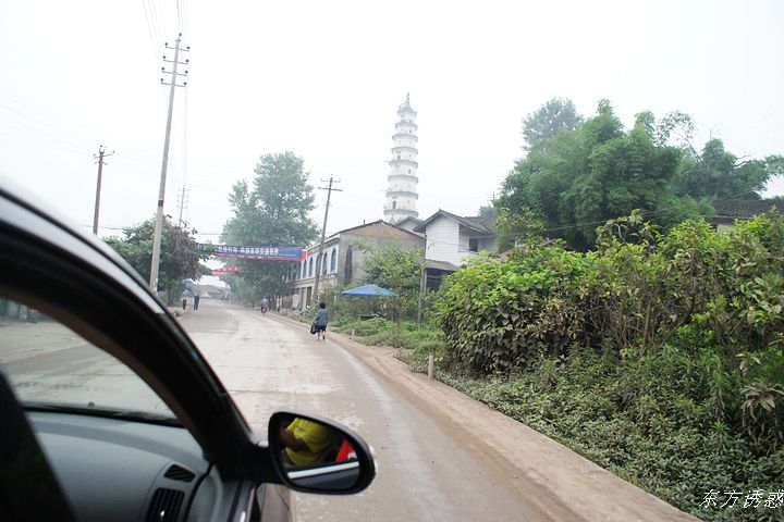 DSC01523.jpg