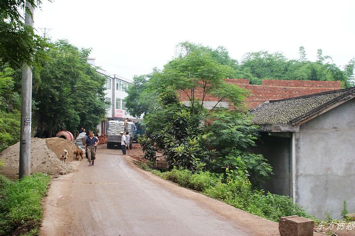 DSC01526.jpg