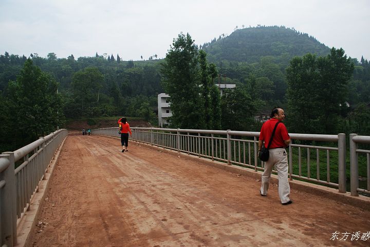 DSC01531.jpg