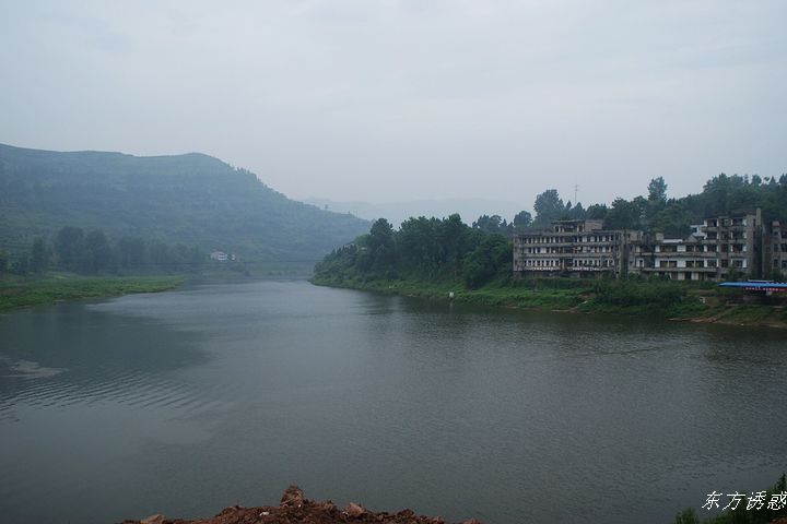 DSC01537.jpg