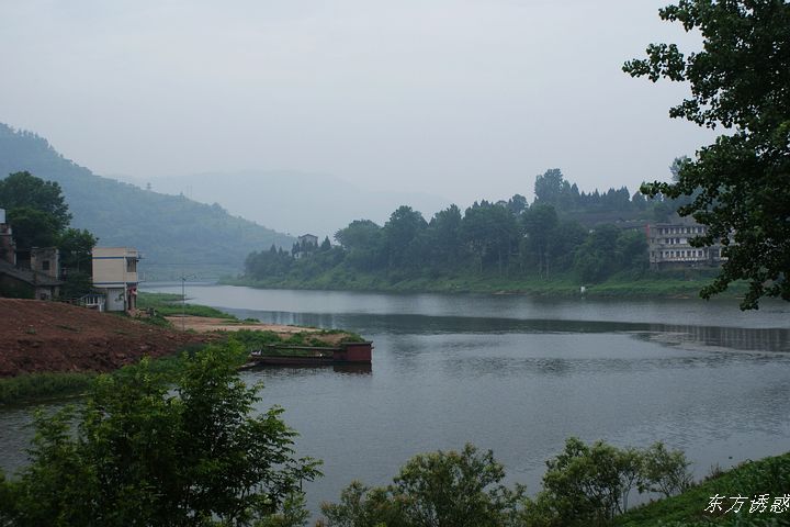 DSC01540.jpg
