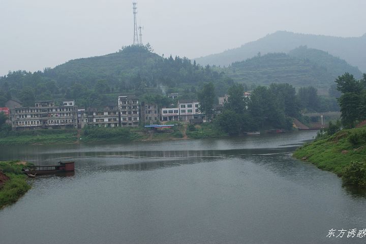 DSC01542.jpg