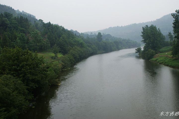 DSC01541.jpg