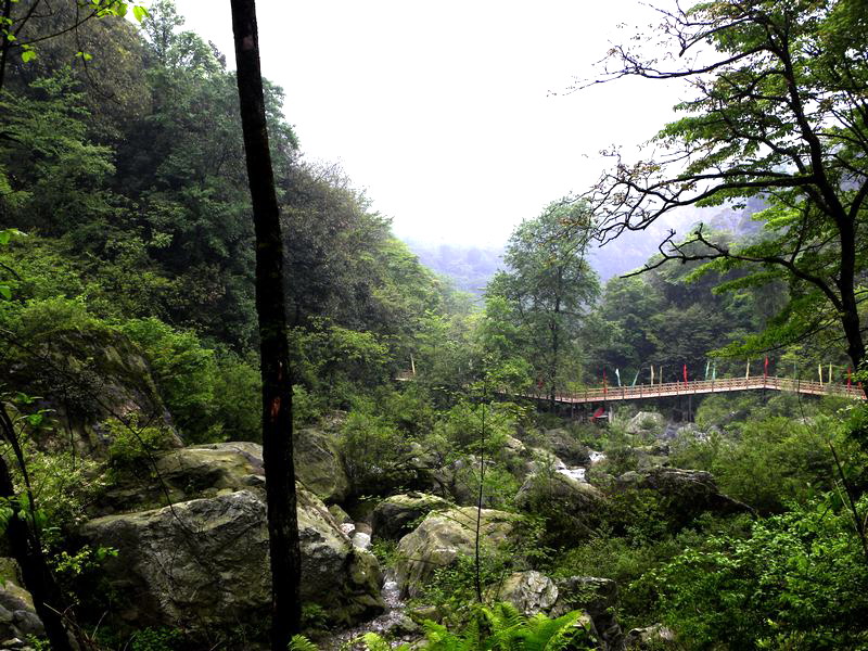 DSCN2362.jpg