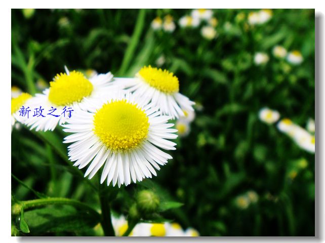 DSC00658.JPG