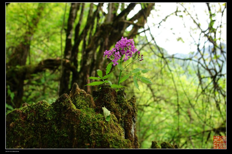 DSC03262.jpg
