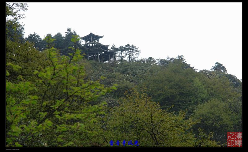 DSC03349.jpg