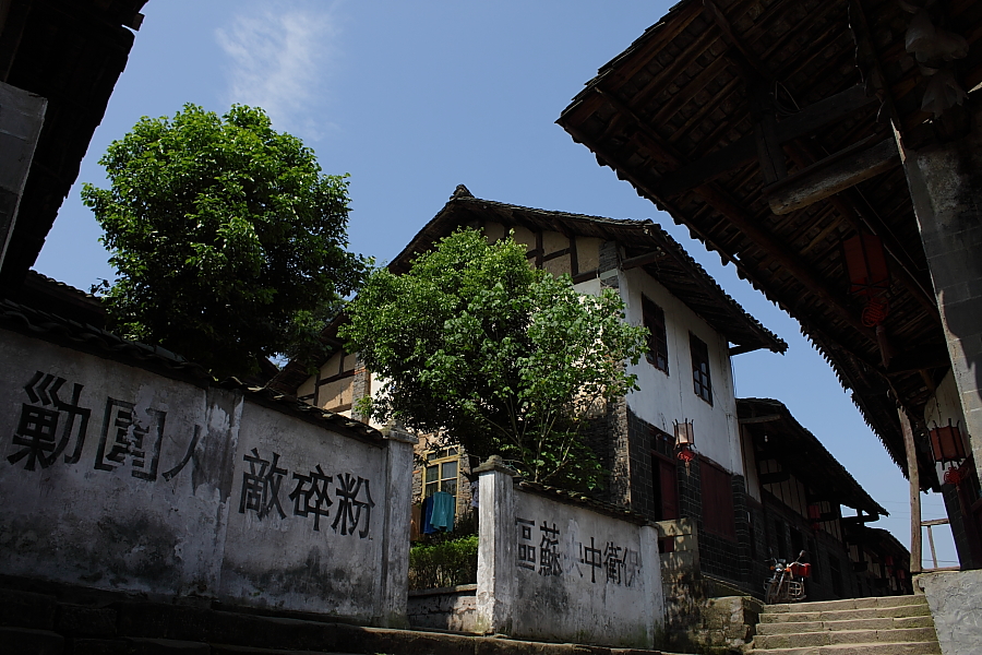 DPP_0008.JPG