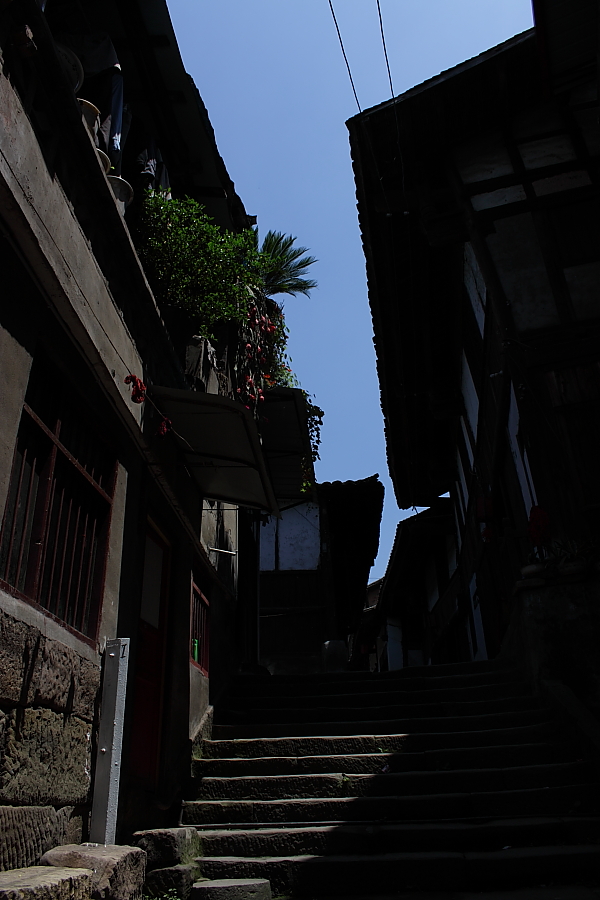 DPP_0032.JPG