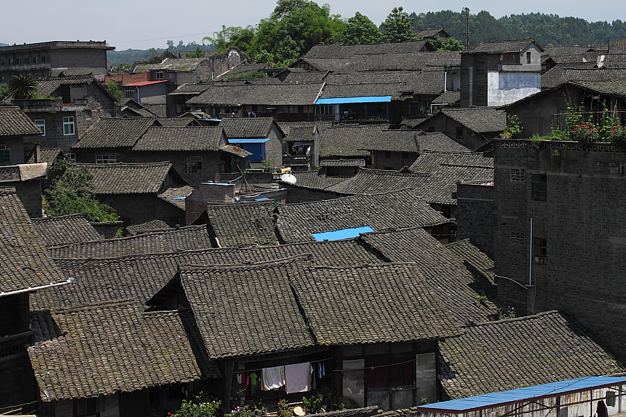 DPP_0043.JPG
