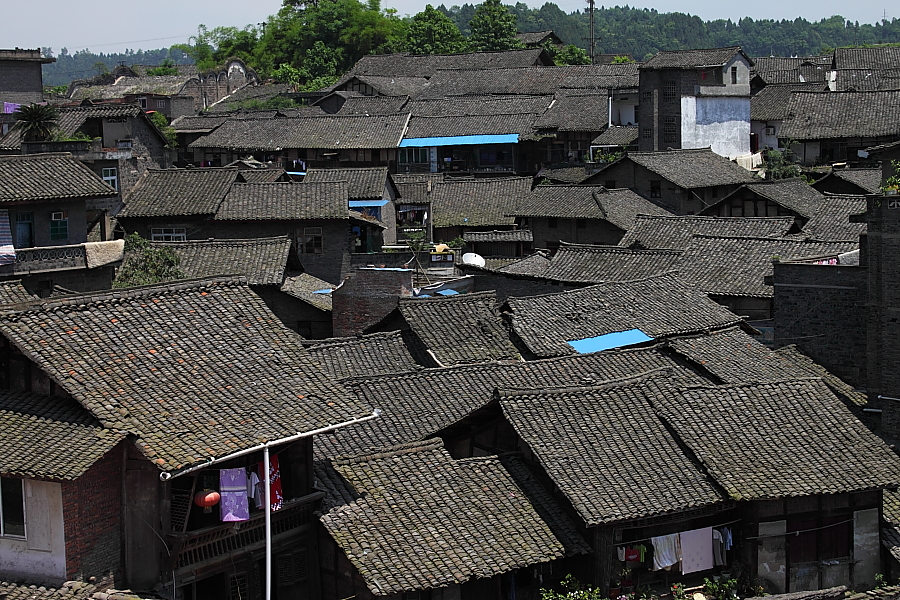 DPP_0045.JPG