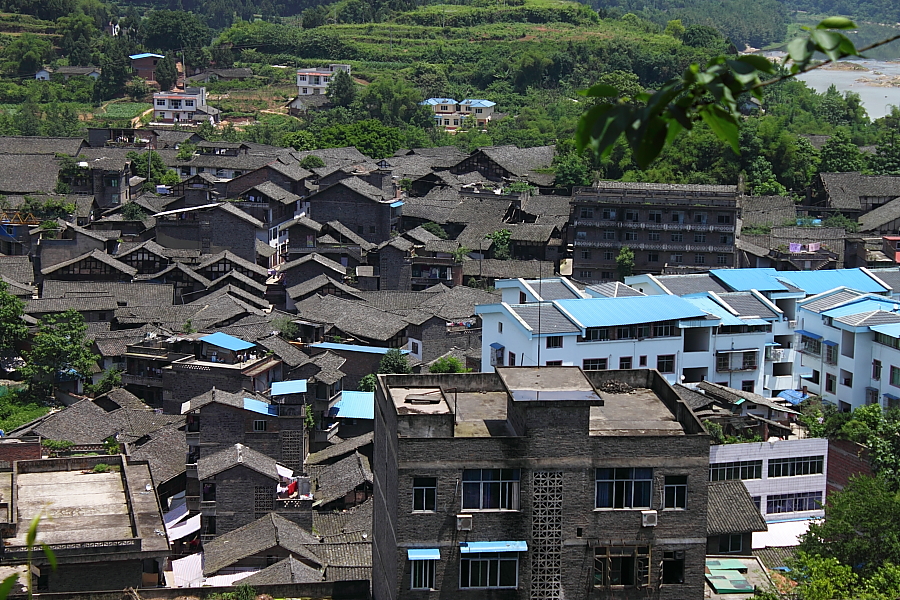 DPP_0047.JPG