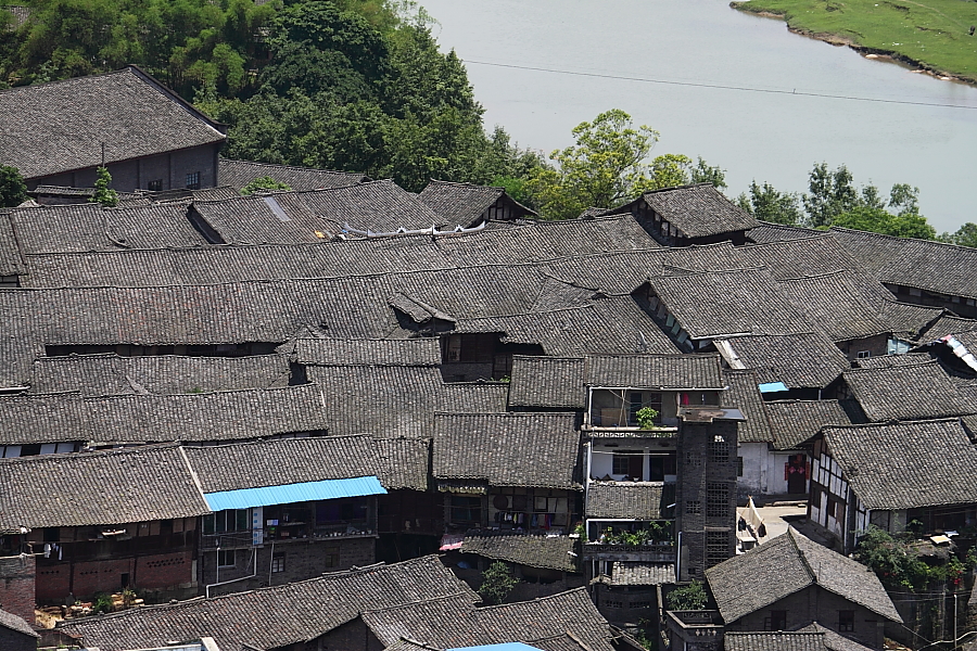 DPP_0054.JPG