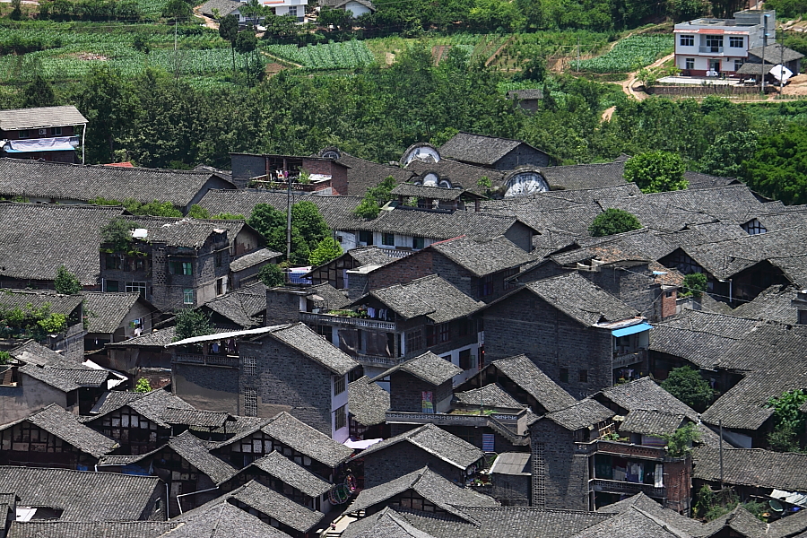 DPP_0057.JPG