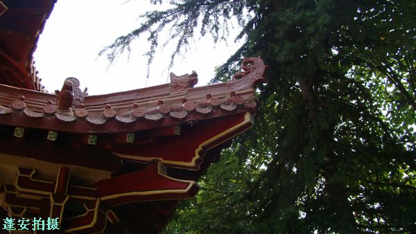 DSC08397.jpg