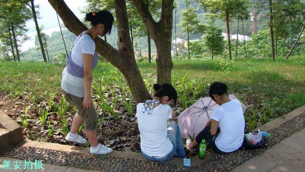 DSC08273.jpg