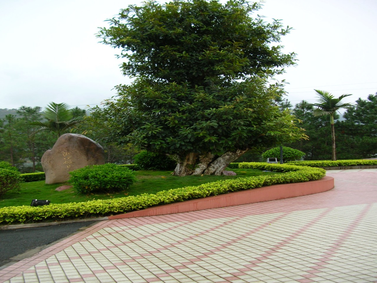 ת Ƭ 090_conew1.jpg