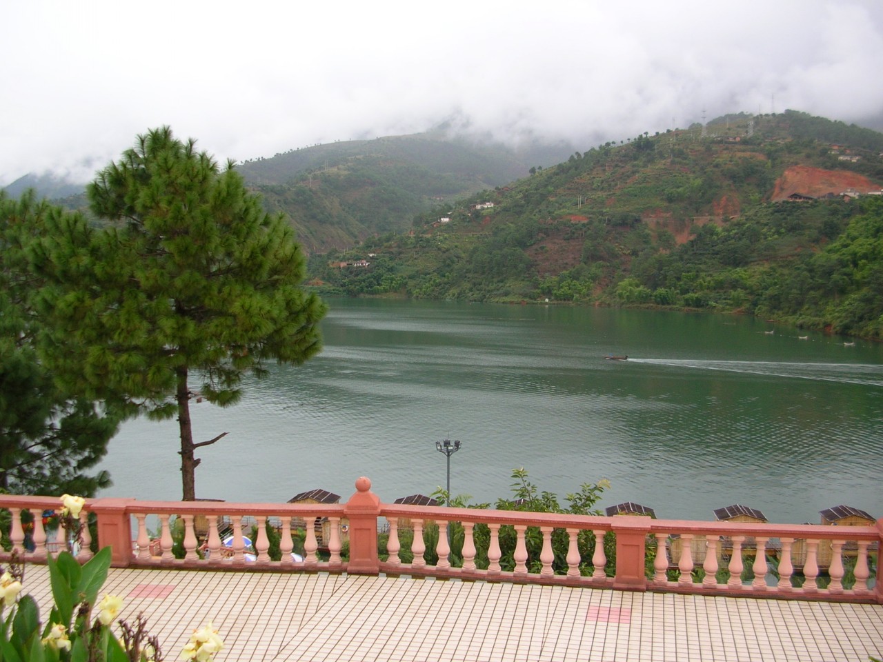 Ƭ 079_conew1.jpg