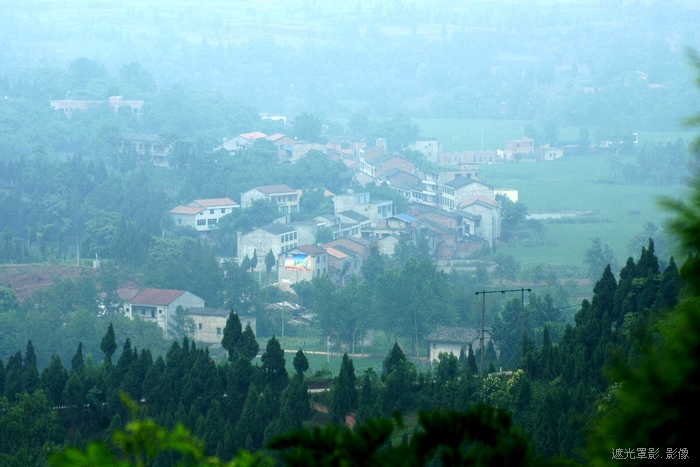DSC02169.jpg