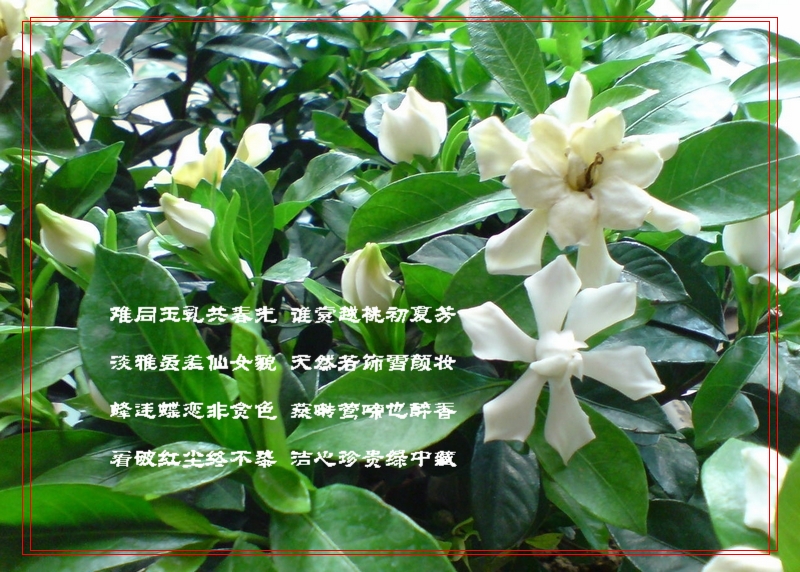 2e09c3ca2097b152f31fe70f.jpg