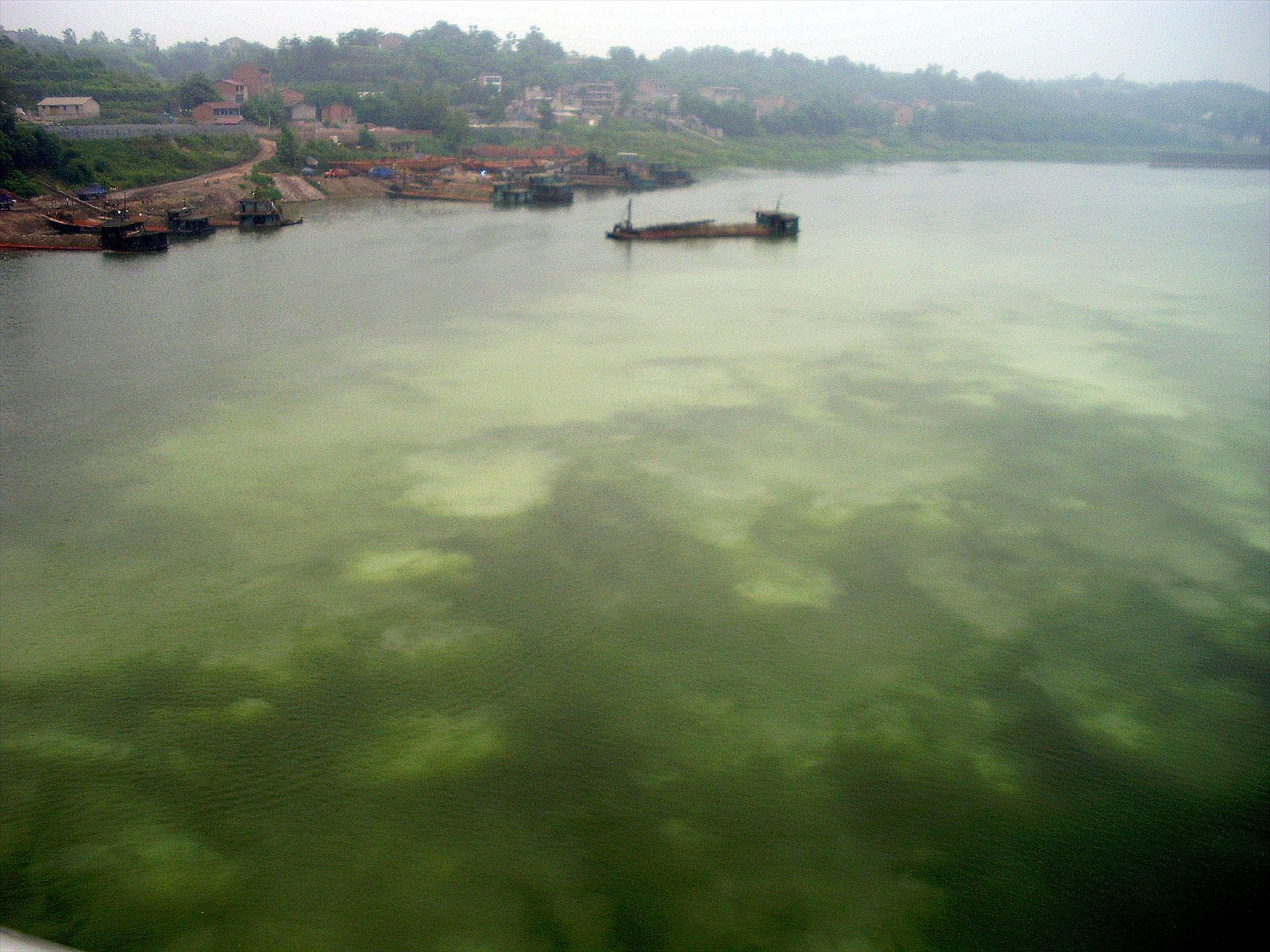P6260228_.jpg