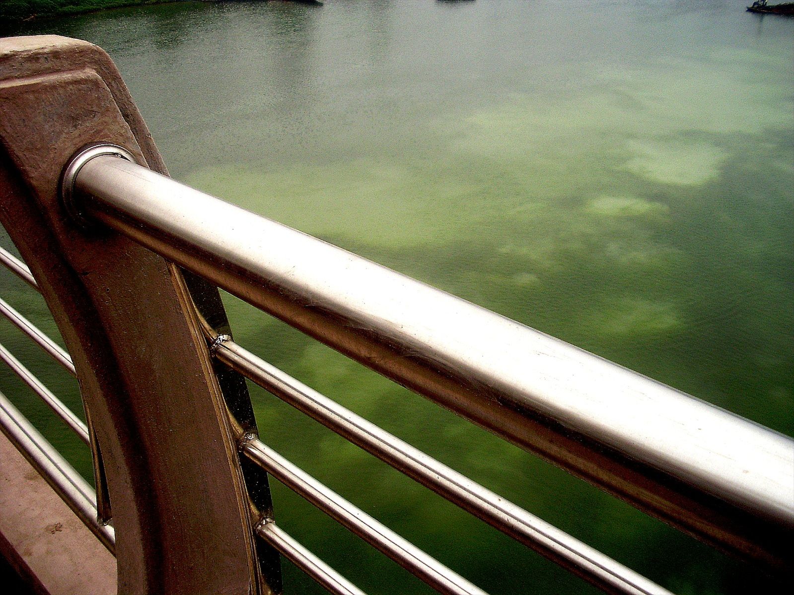 P6260229_.jpg