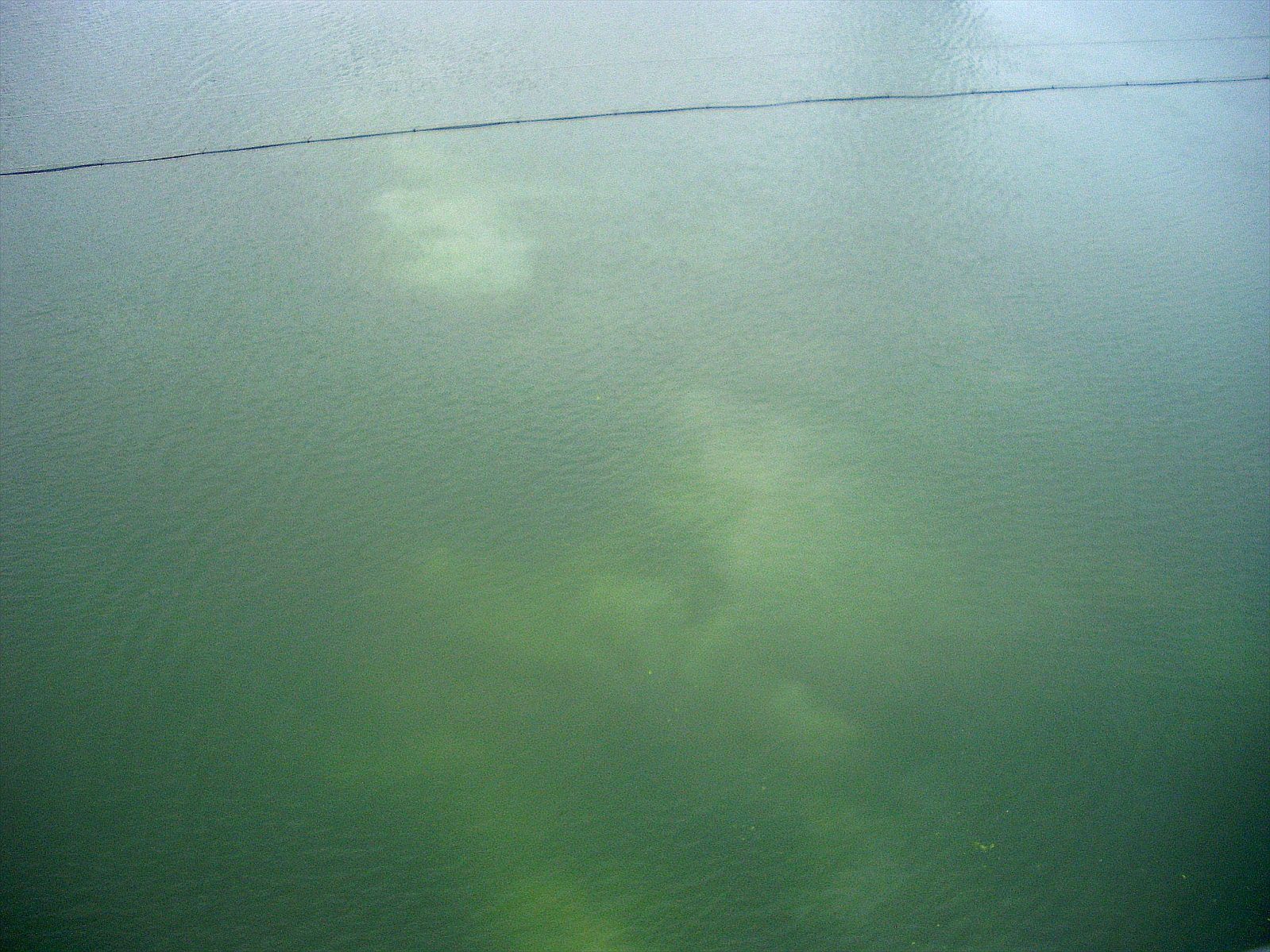 P6260230_.jpg
