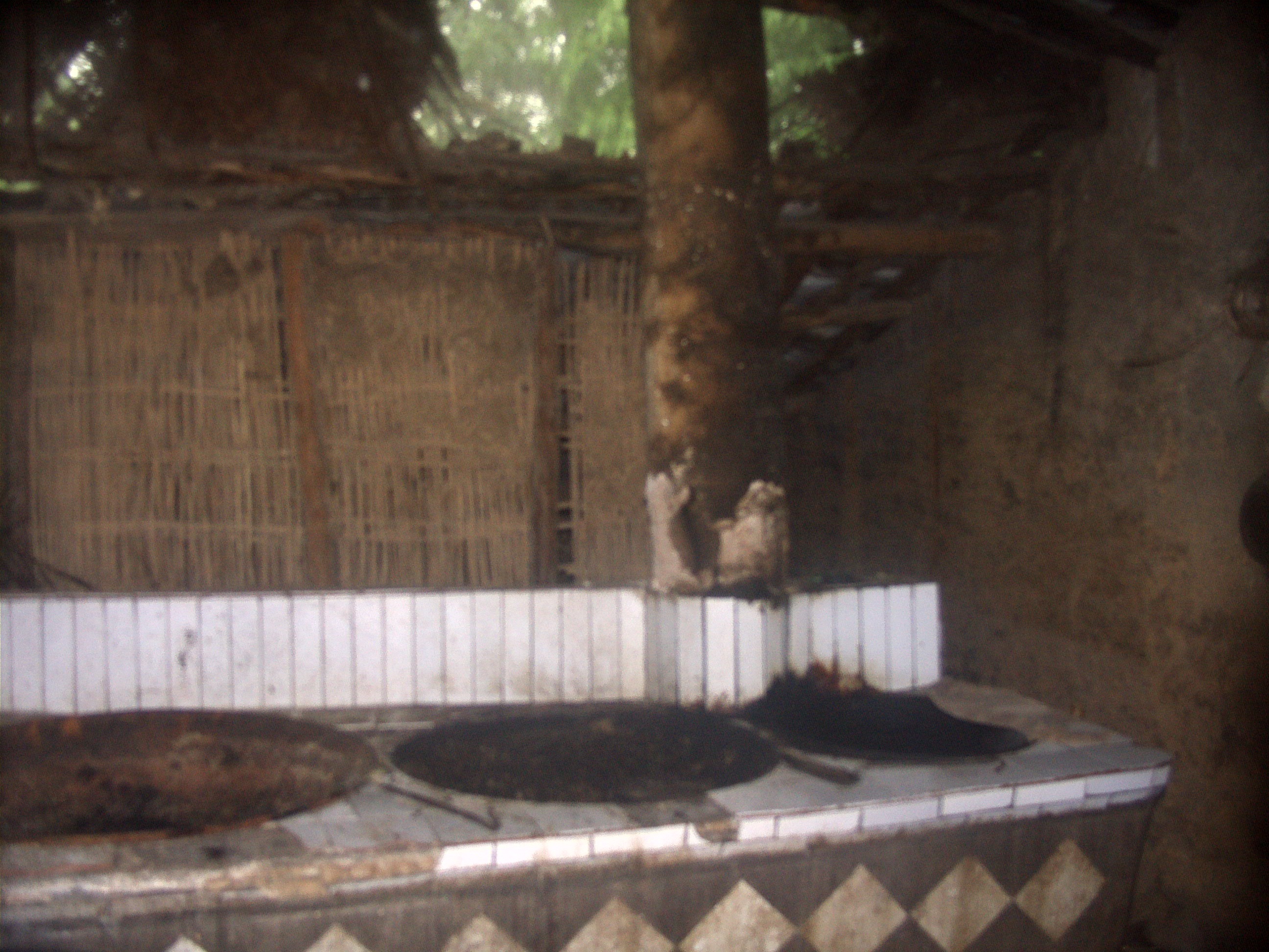 DSCF1298.JPG