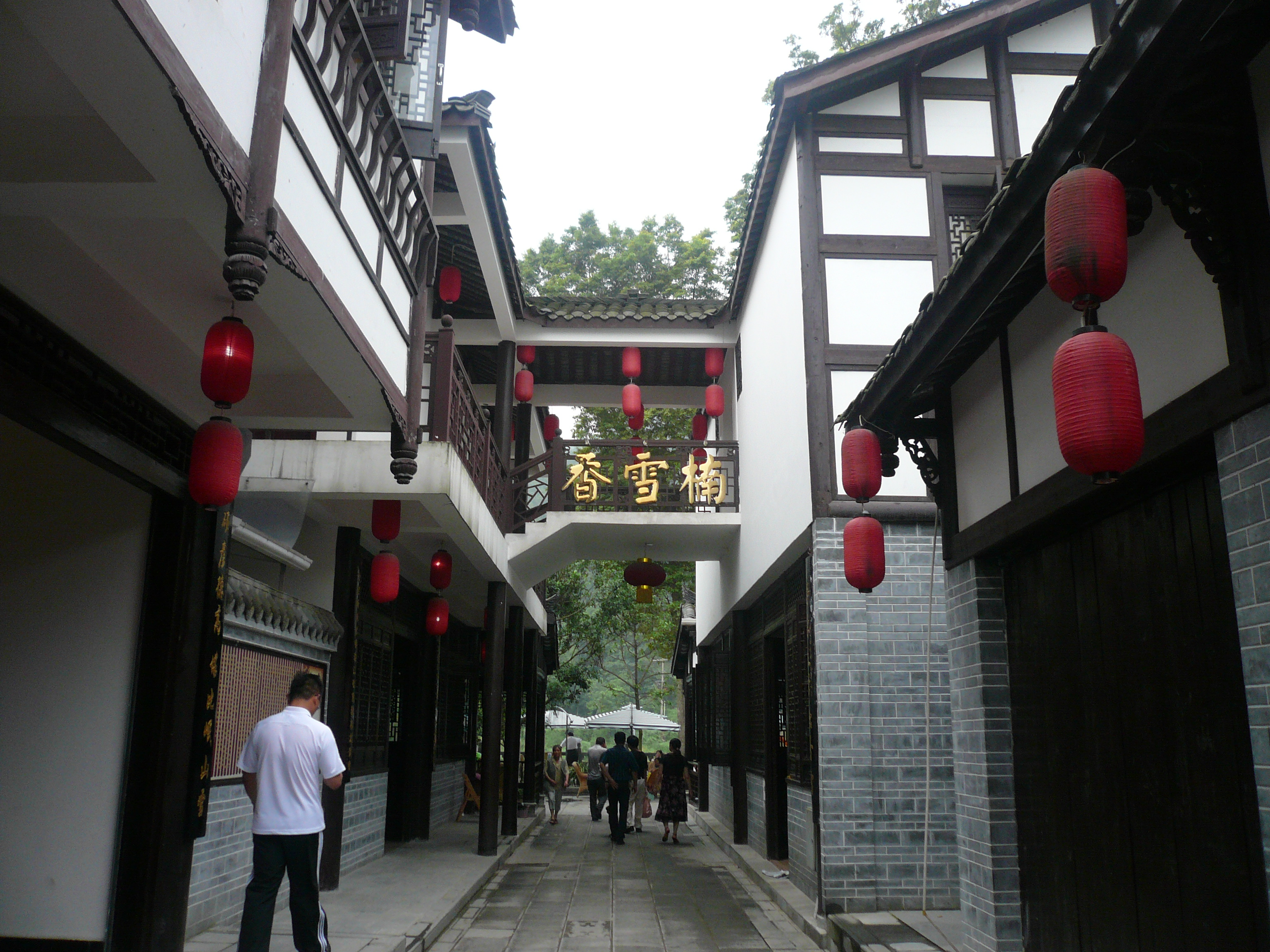 P1100990.JPG