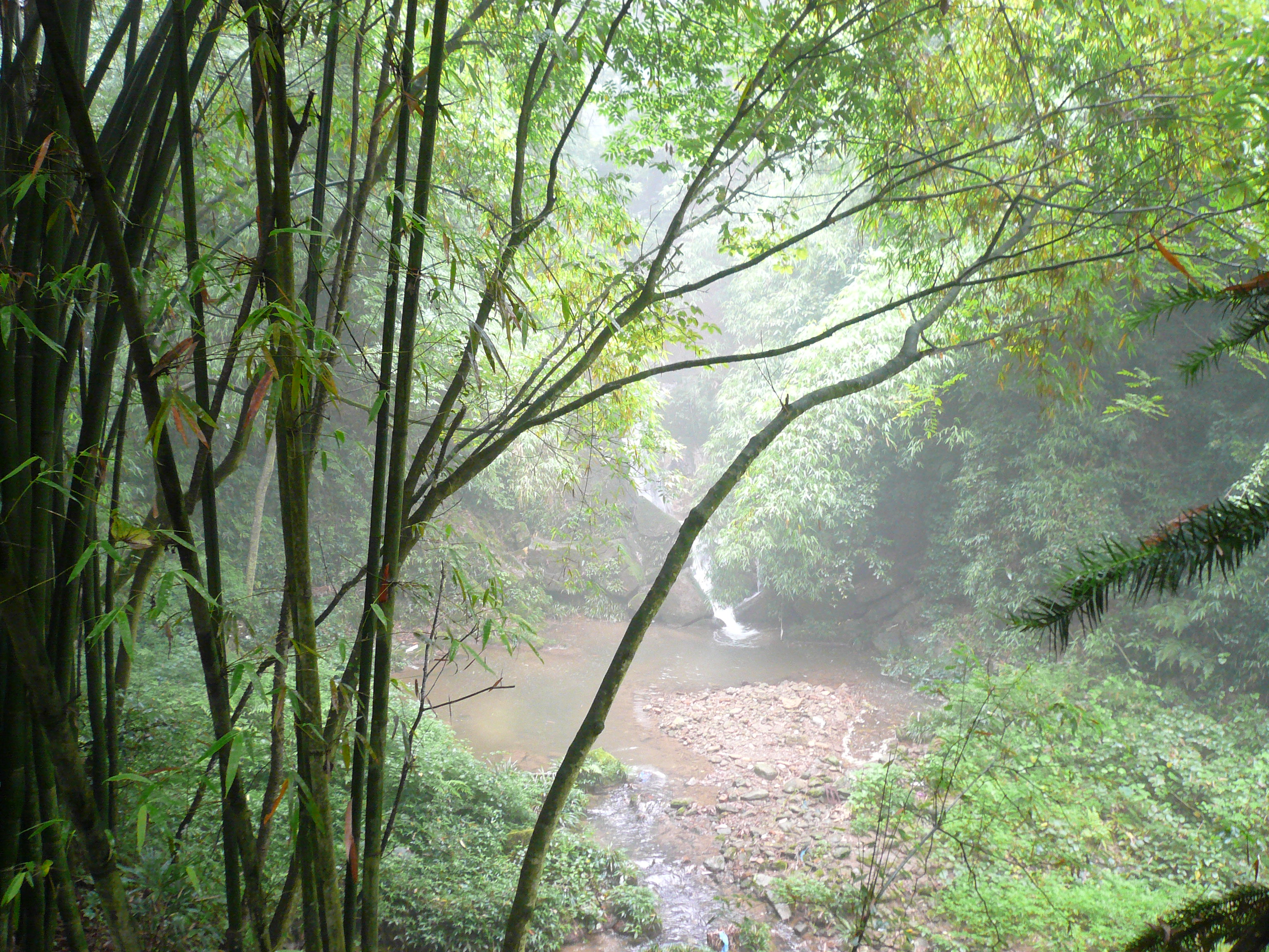 P1100948.JPG