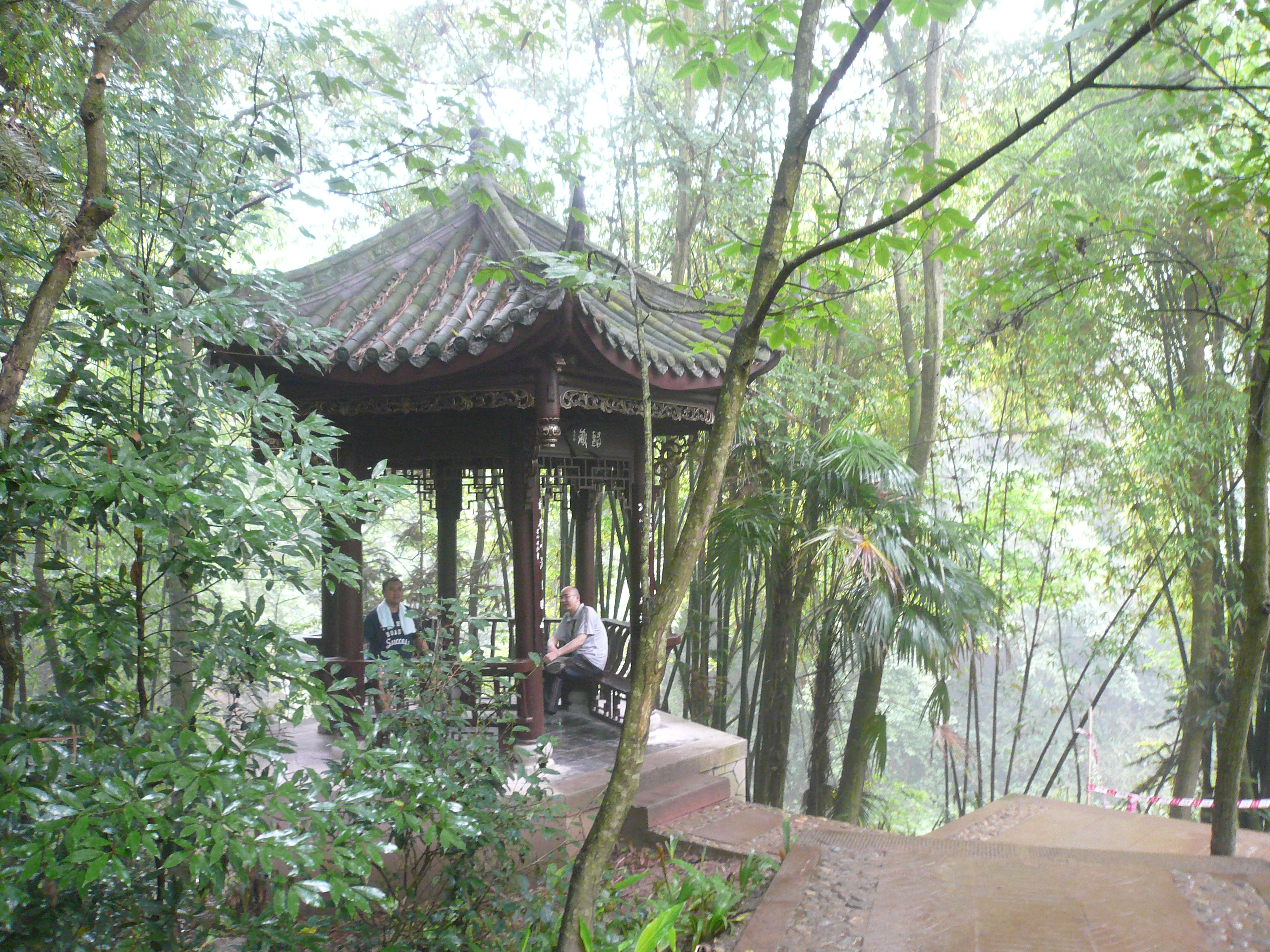P1100950.JPG