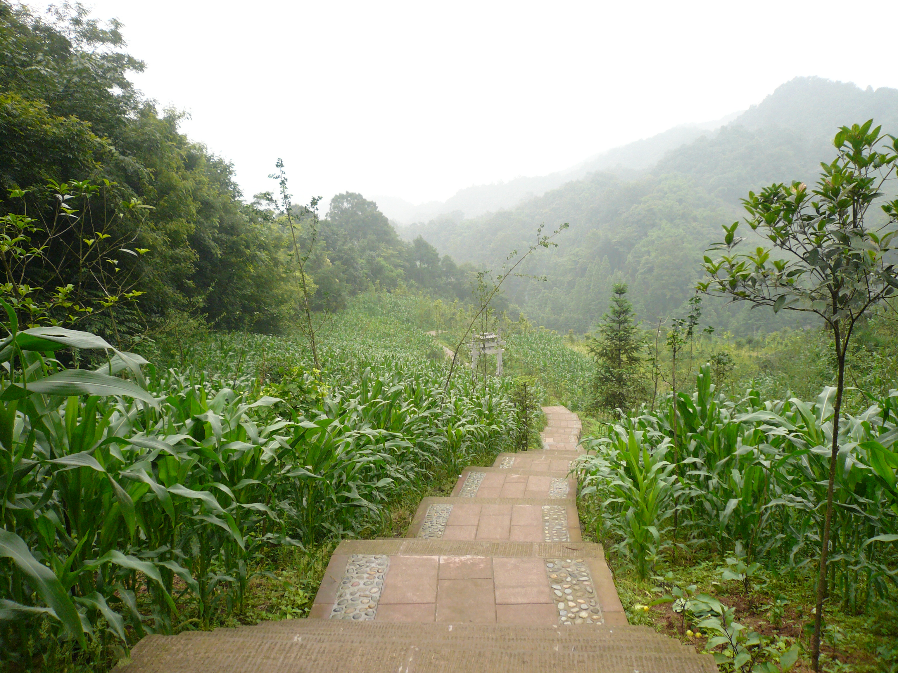 P1100969.JPG