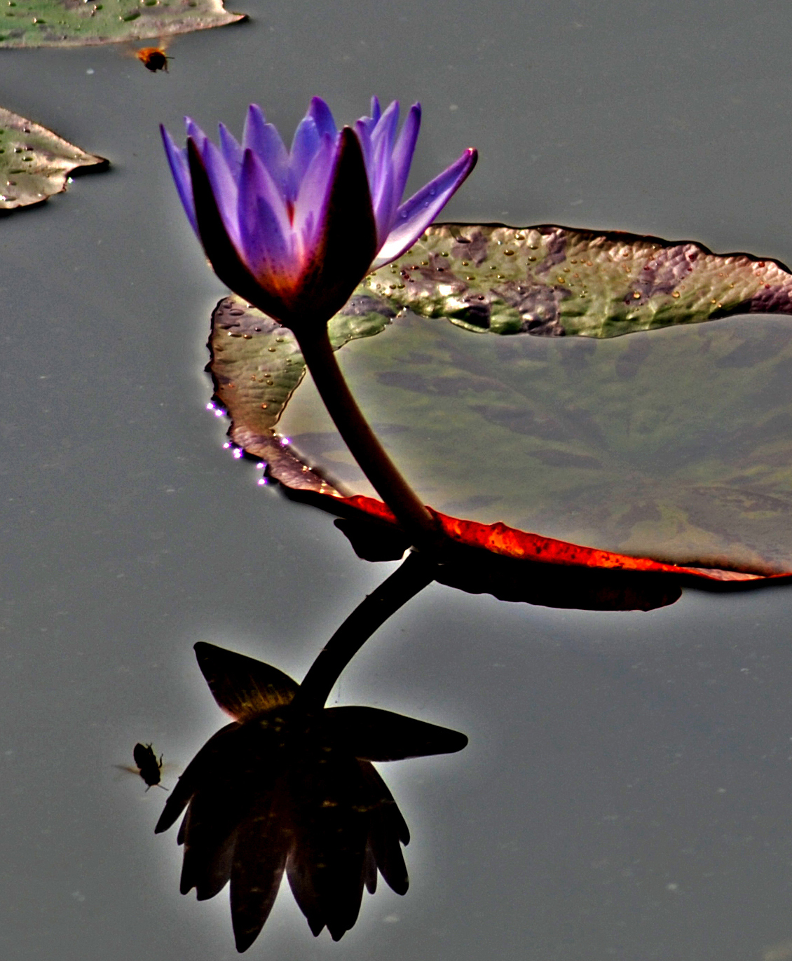 DSC_0213 .jpg