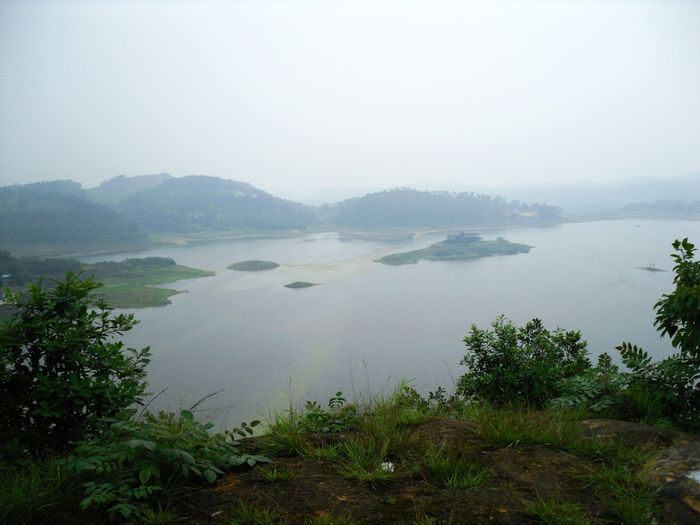 115.jpg