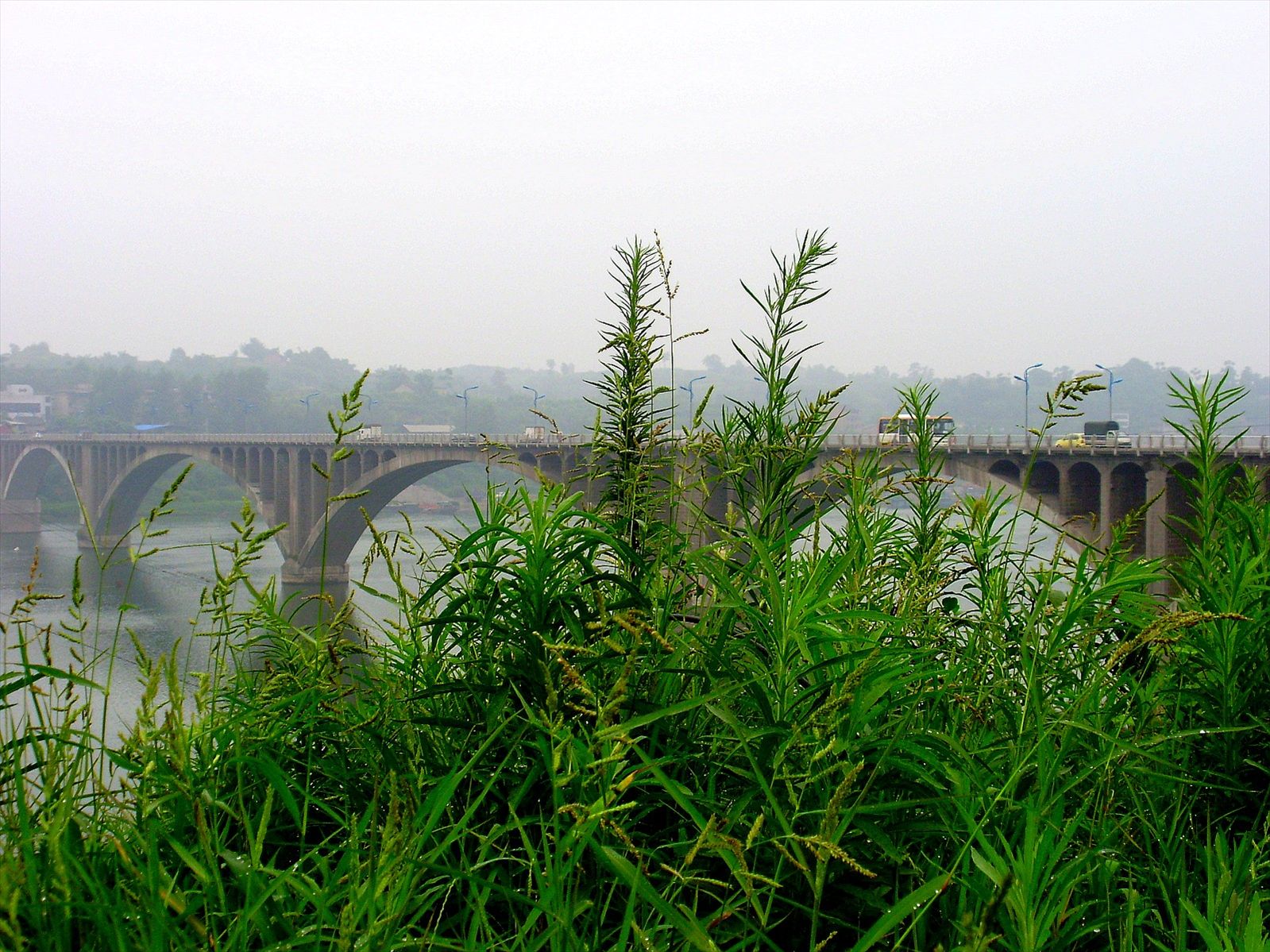 P6260170_.jpg