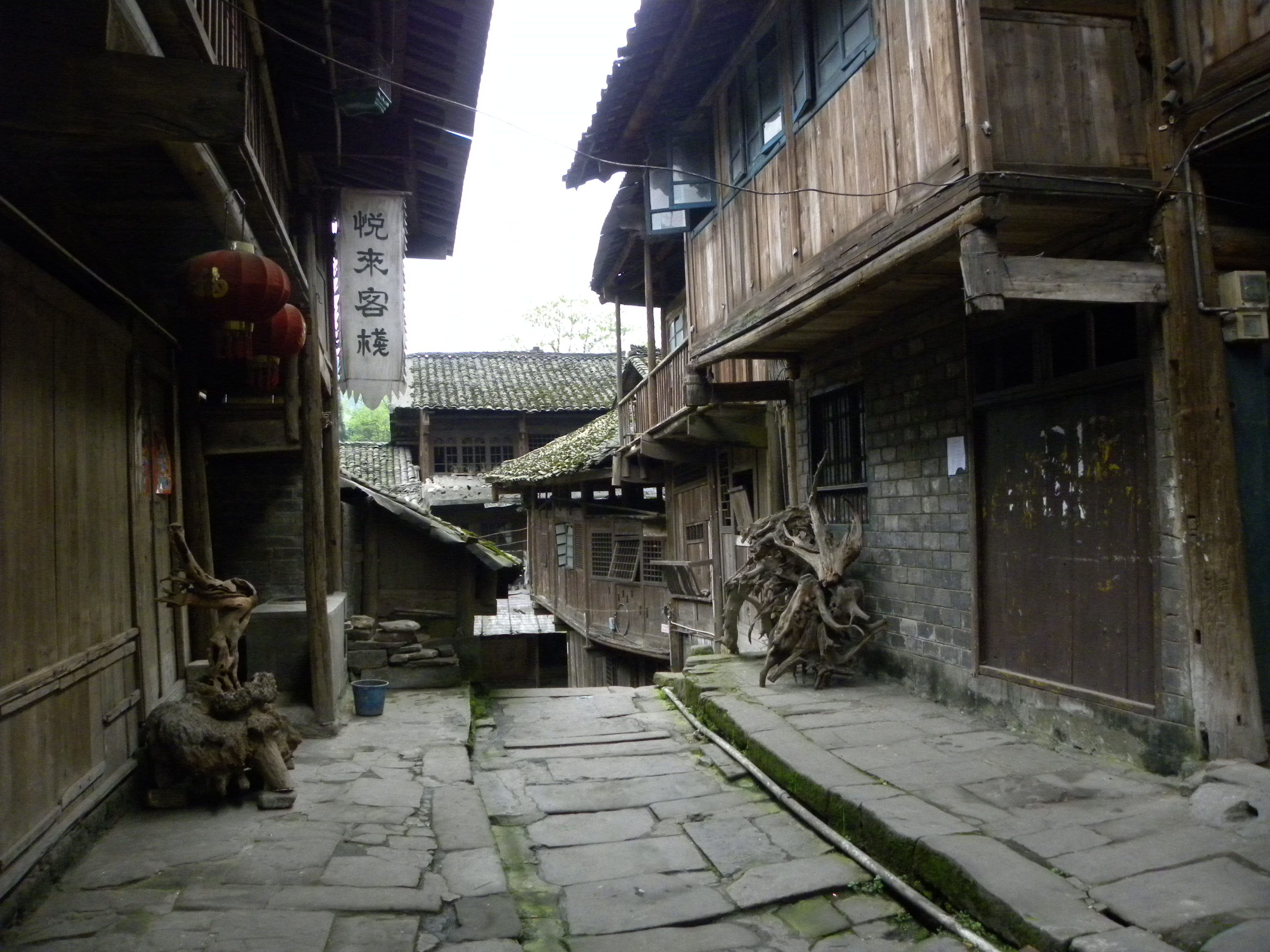 DSCN1490.JPG