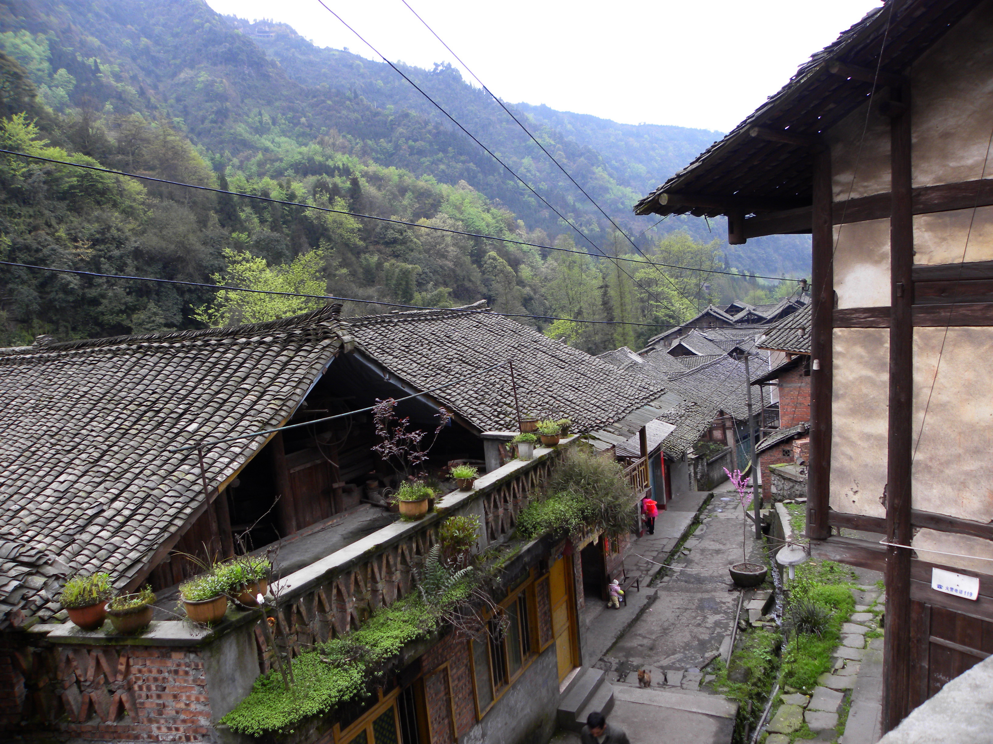 DSCN1506.jpg