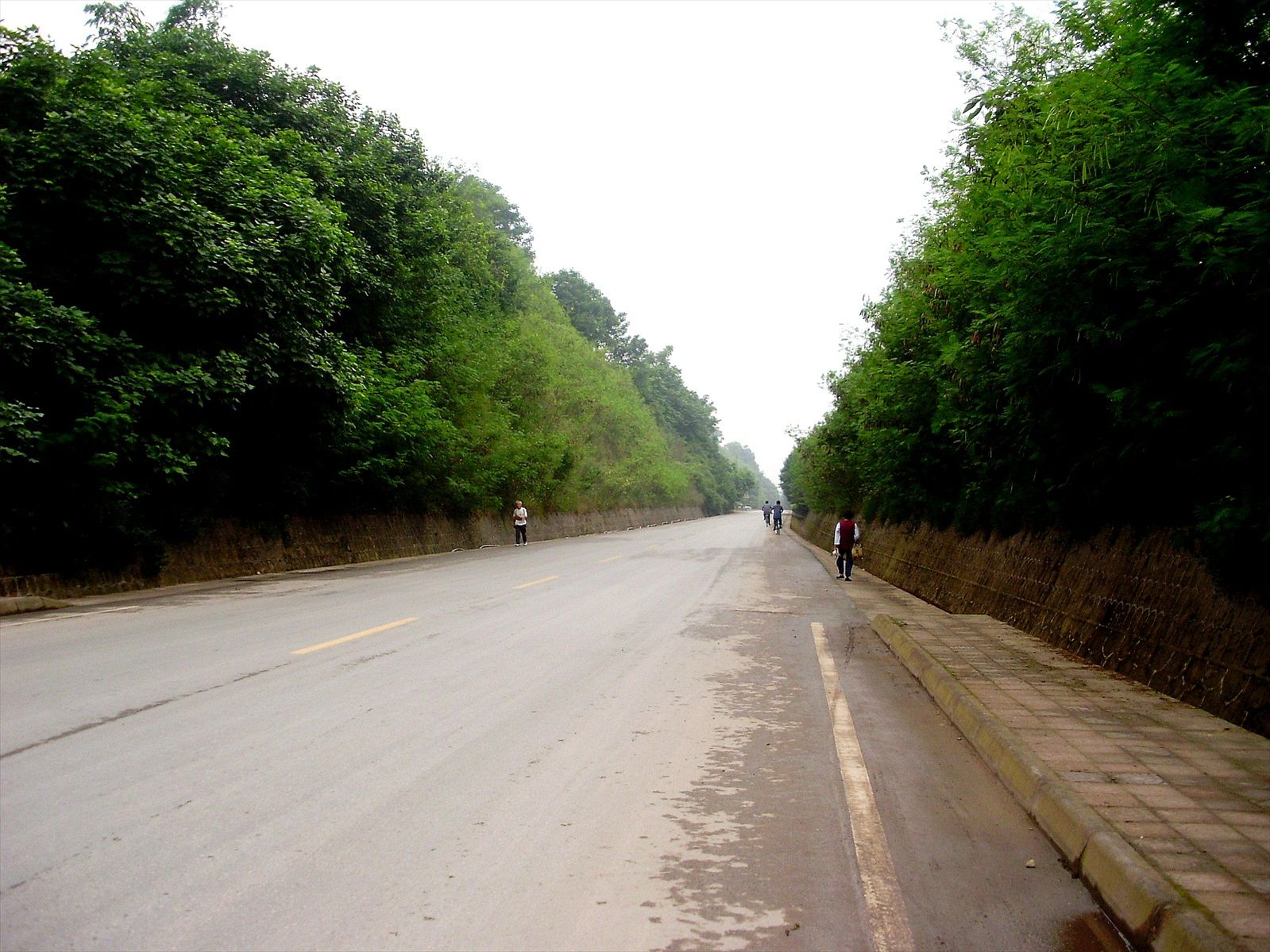 P6260177_.jpg