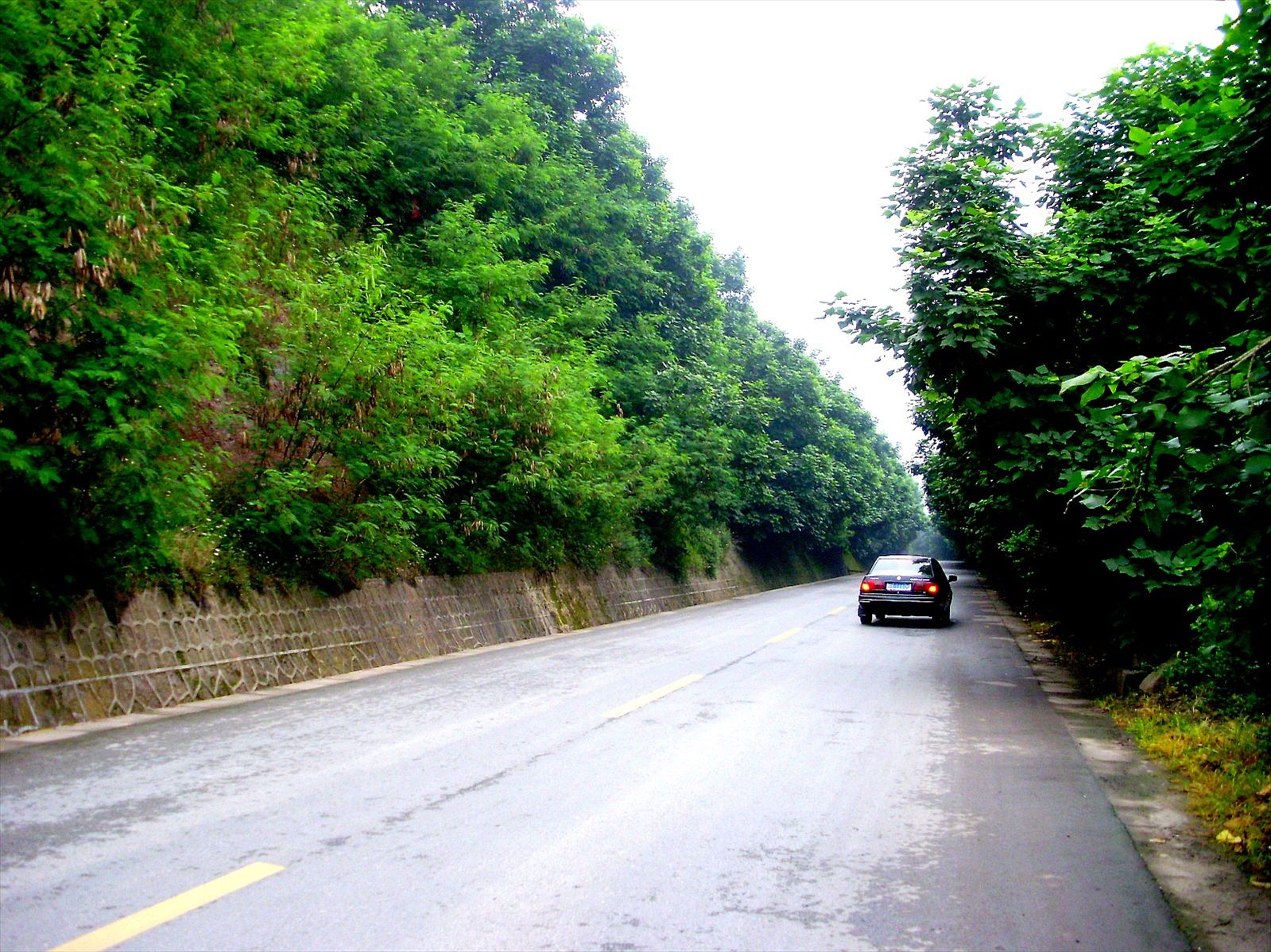 P6260178_.jpg