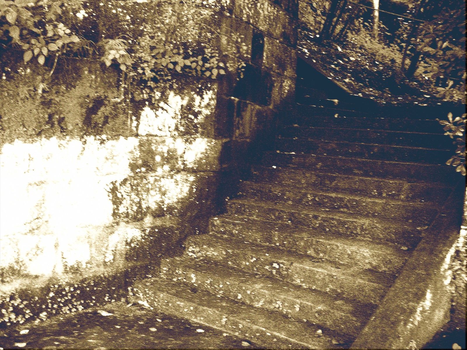 P6260185_.jpg