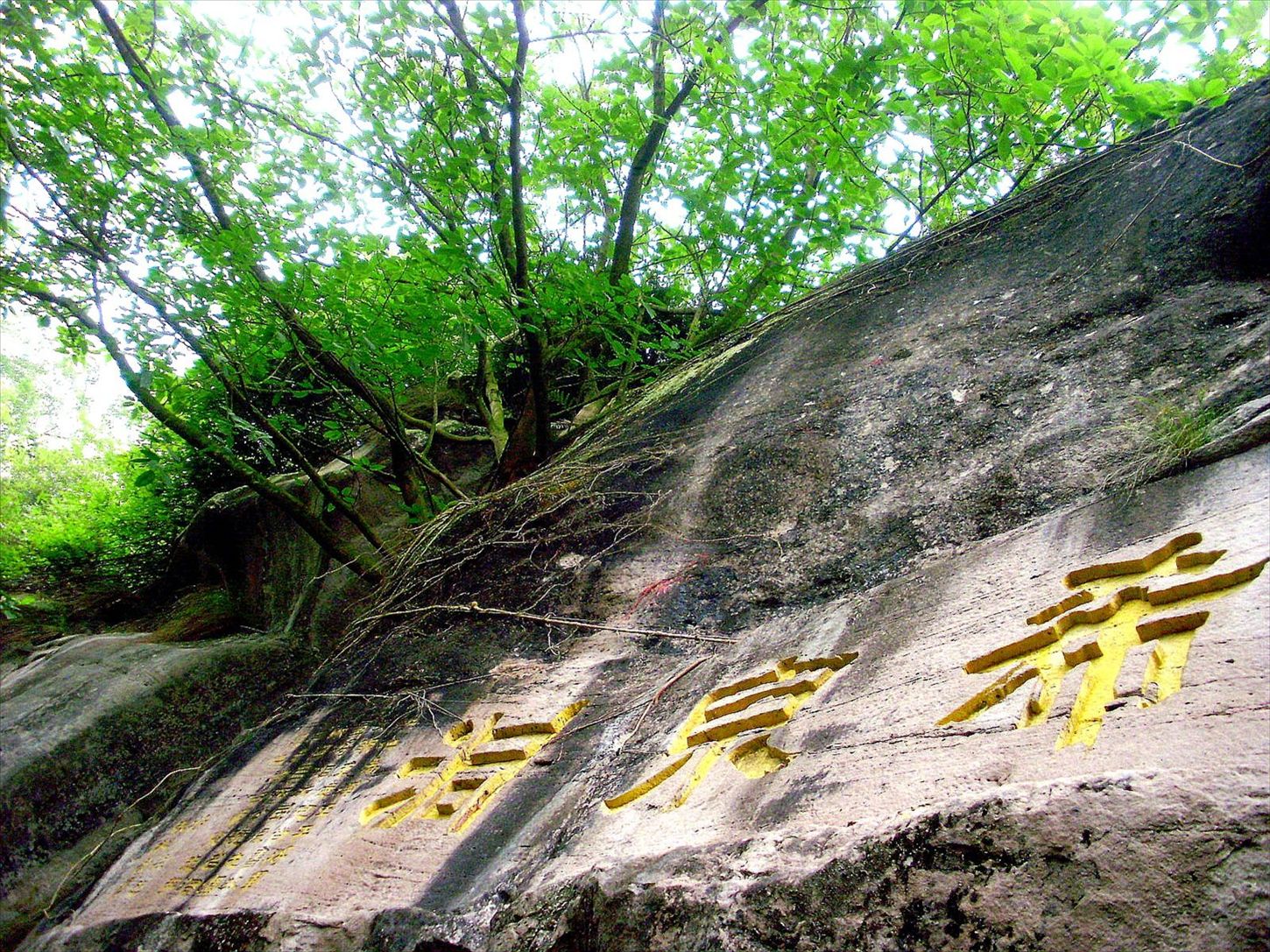 P6260195_.jpg