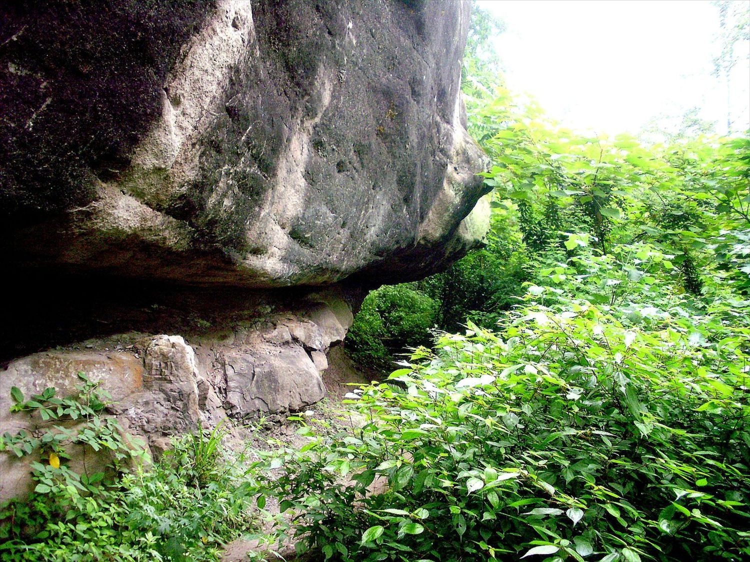P6260204_.jpg
