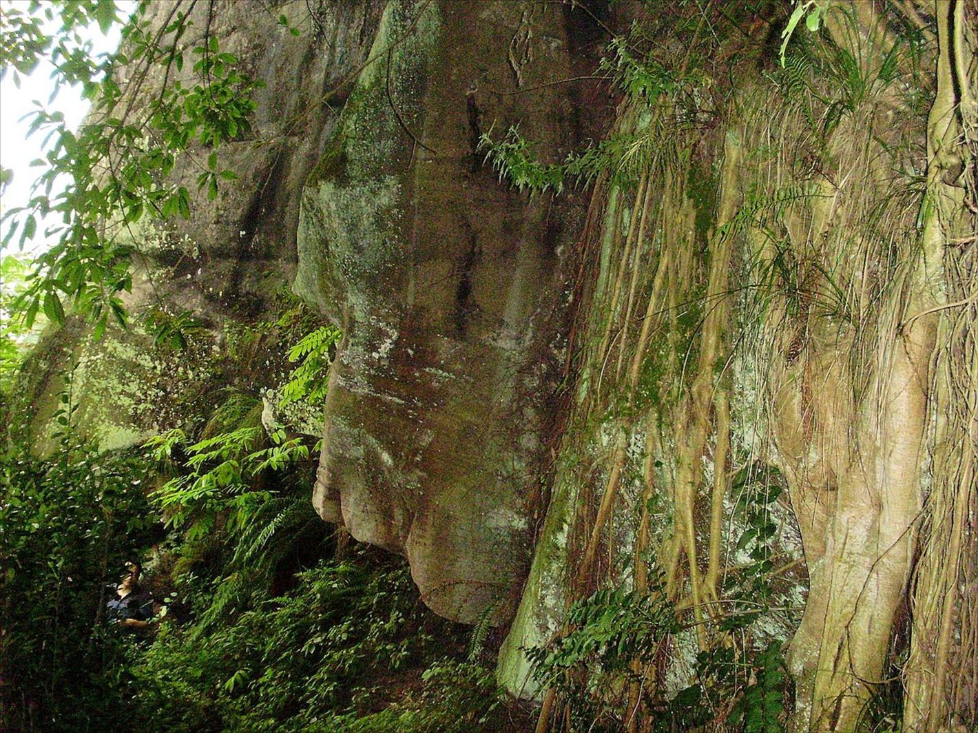 P6260205_.jpg
