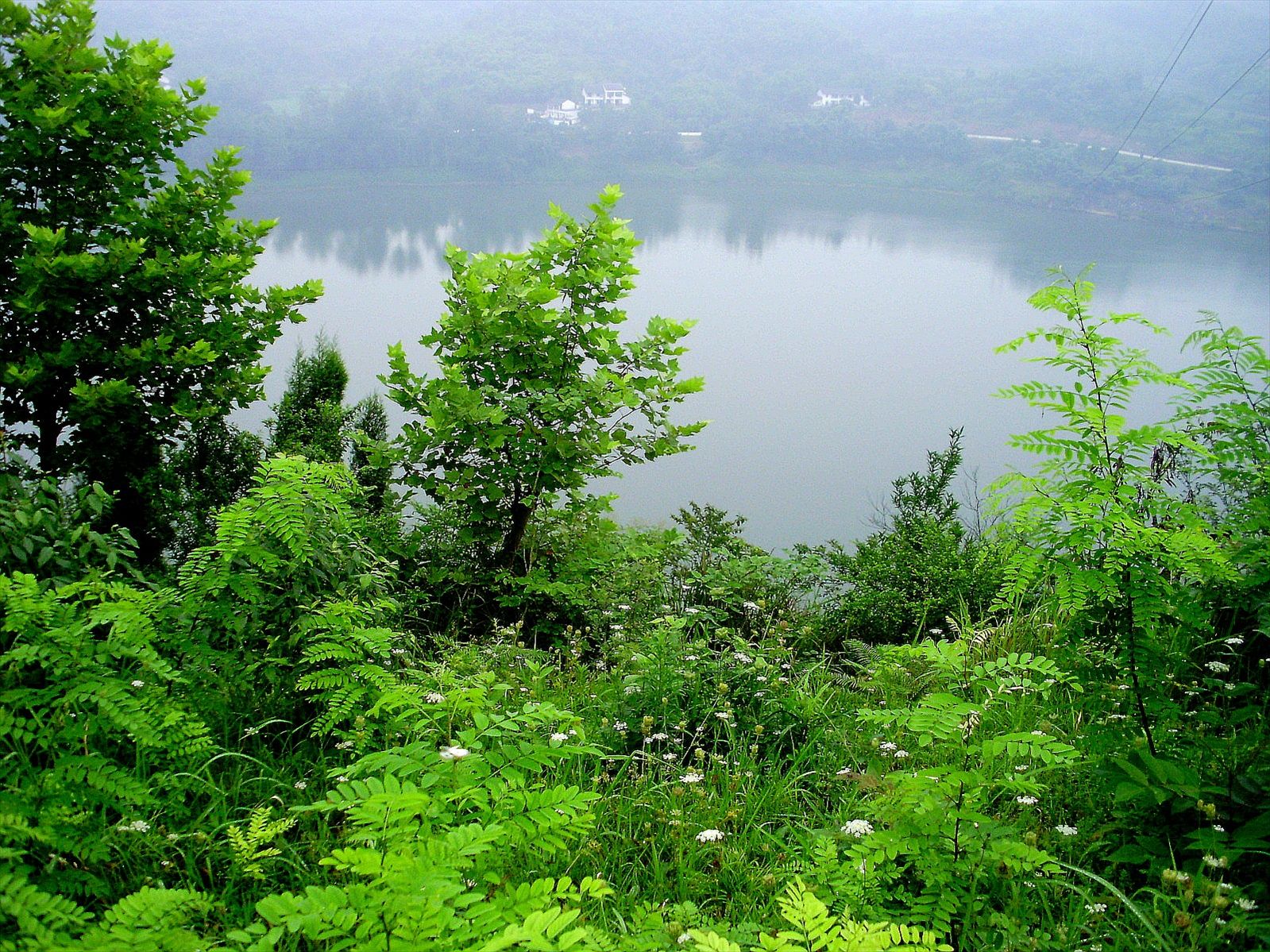 P6260209_.jpg