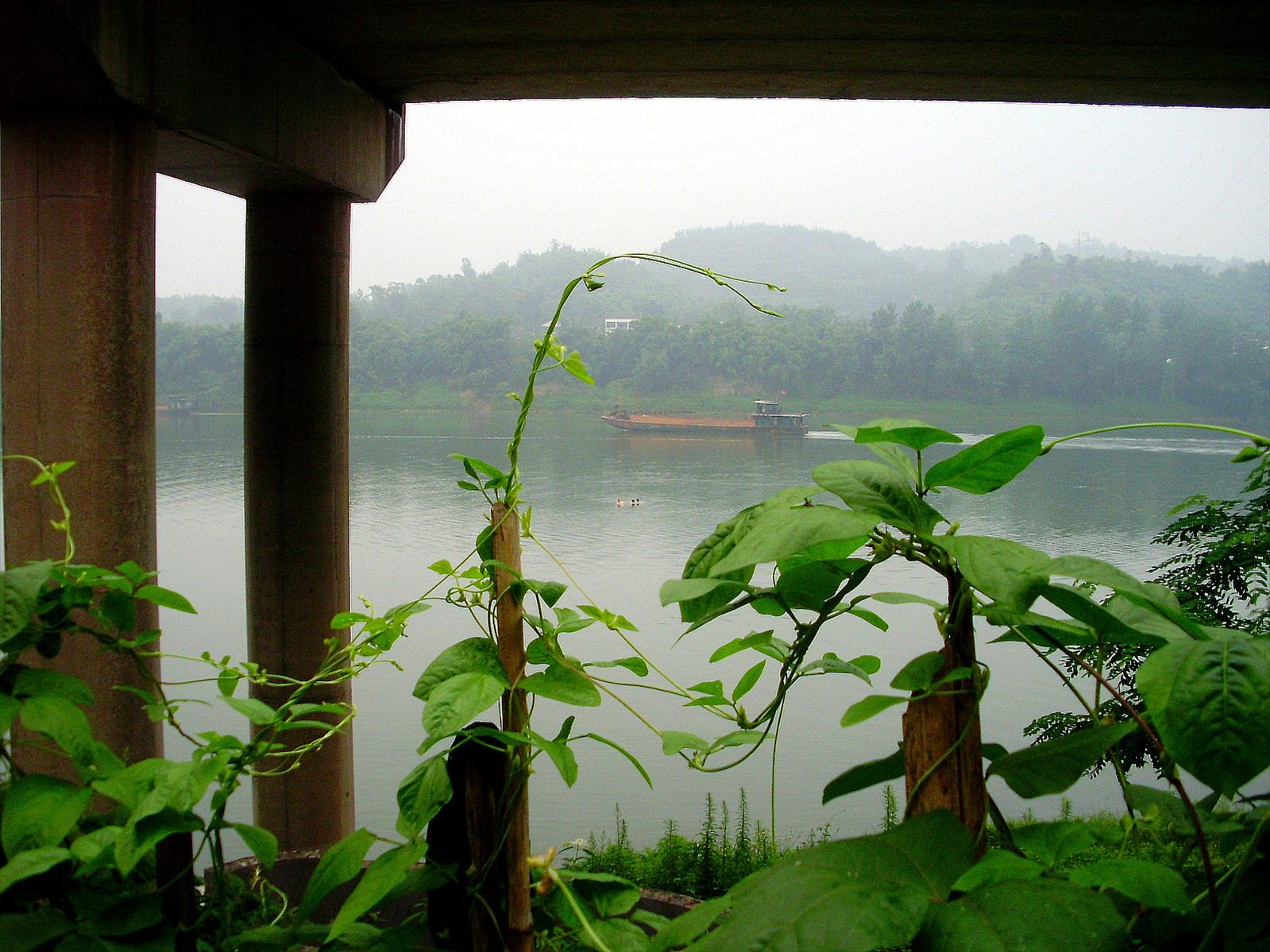 P6260218_.jpg