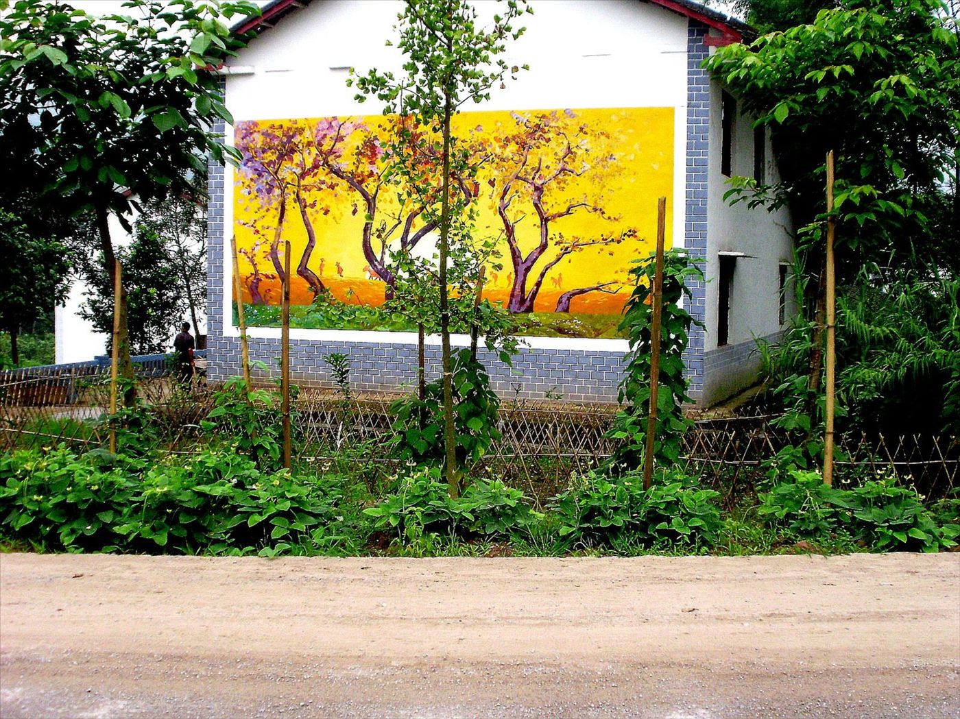 P6260236_.jpg