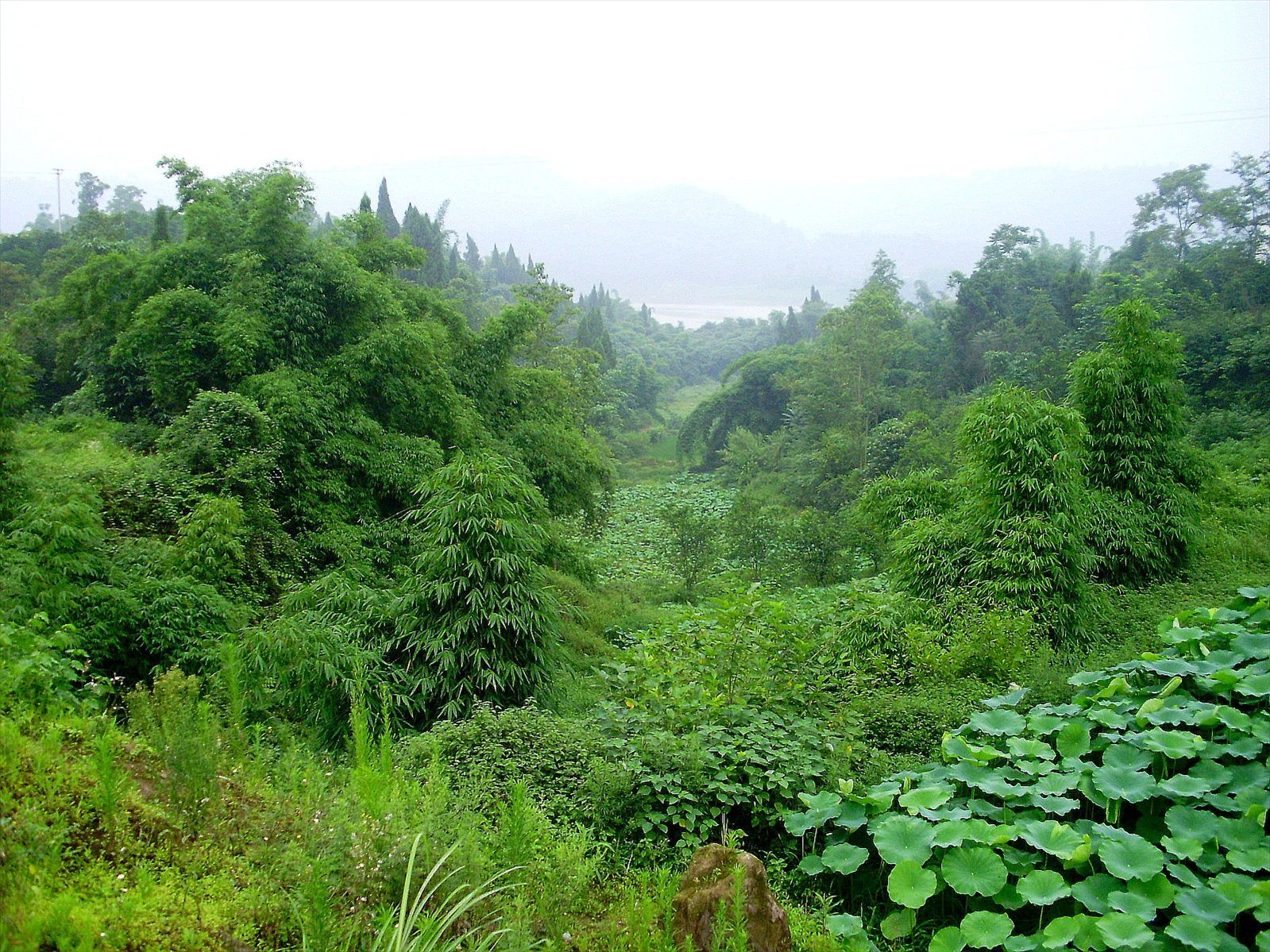 P6260240_.jpg